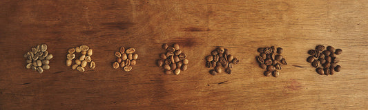 Odkrivamo skrivnost prvega poka… 💥