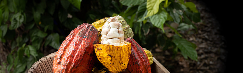 Čokolada, ali več kot to? 🤨