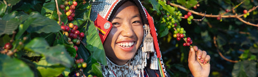 Kakšna kava je specialty kava? 🧐