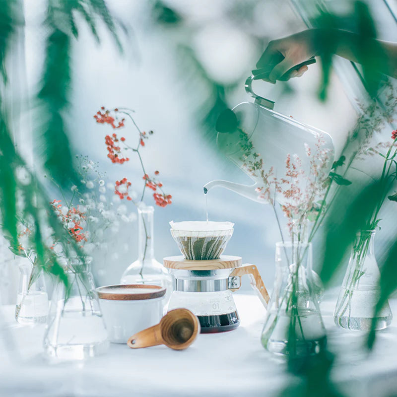 HARIO V60-02 Glass Dripper